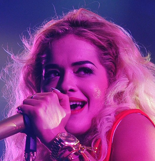 Salary, Income, Net Worth: Rita Ora - 2024 - WageIndicator.no