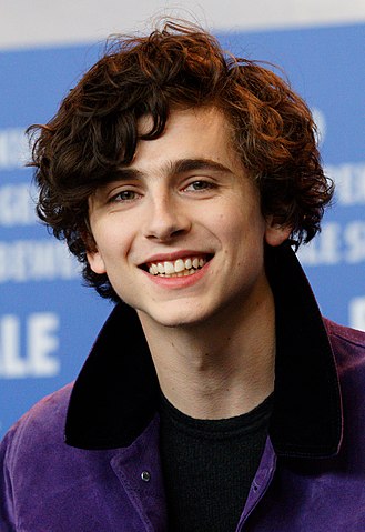 Salary, Income, Net Worth: Timothée Chalamet - 2024 - Mywage.org/Korea